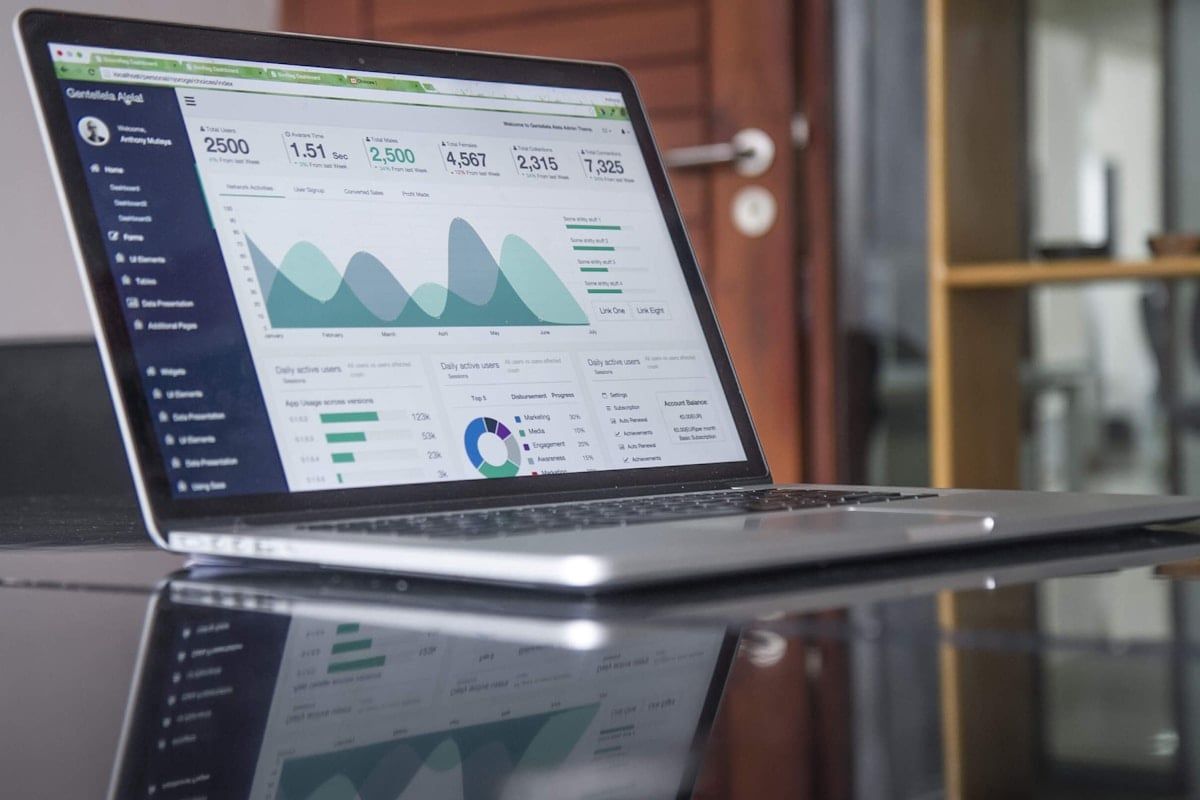 SEO performance charts and keyword growth metrics